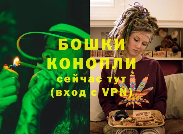стафф Надым
