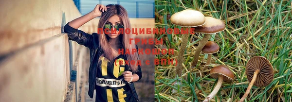 сатива Навашино